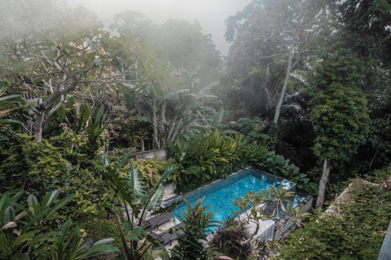 Aji Lodge Bungalow Ubud  Exterior photo