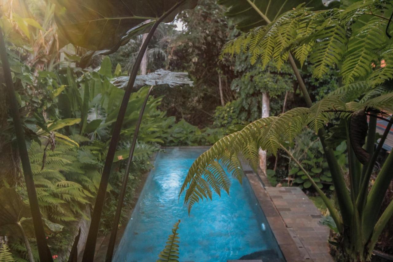 Aji Lodge Bungalow Ubud  Exterior photo