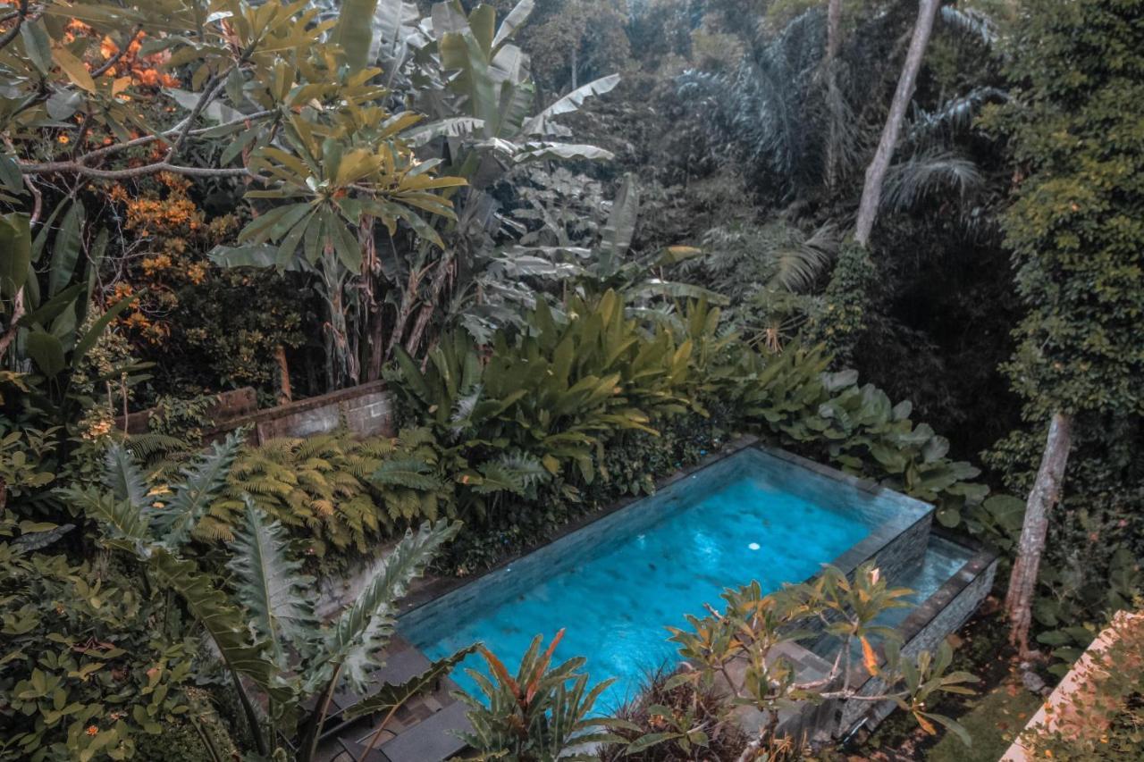 Aji Lodge Bungalow Ubud  Exterior photo
