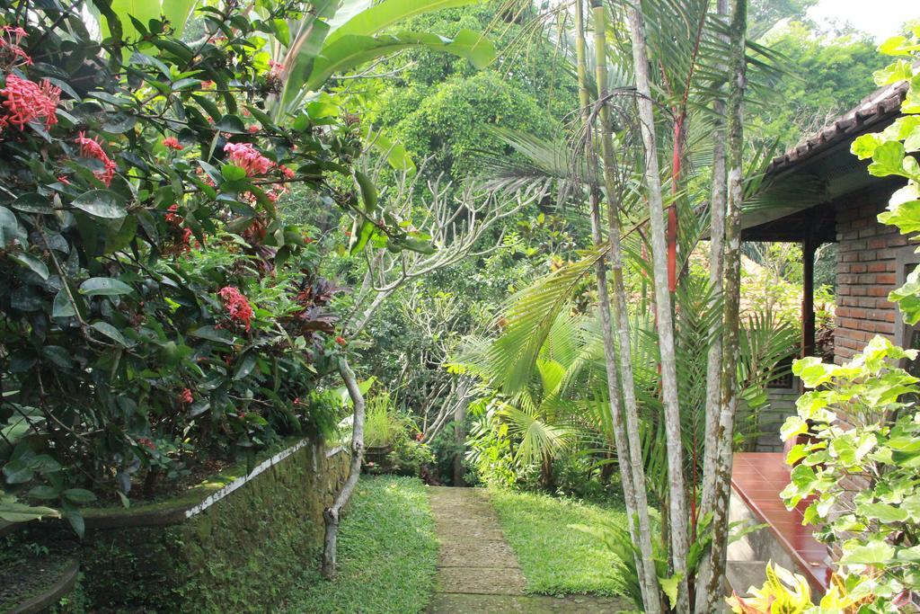 Aji Lodge Bungalow Ubud  Exterior photo