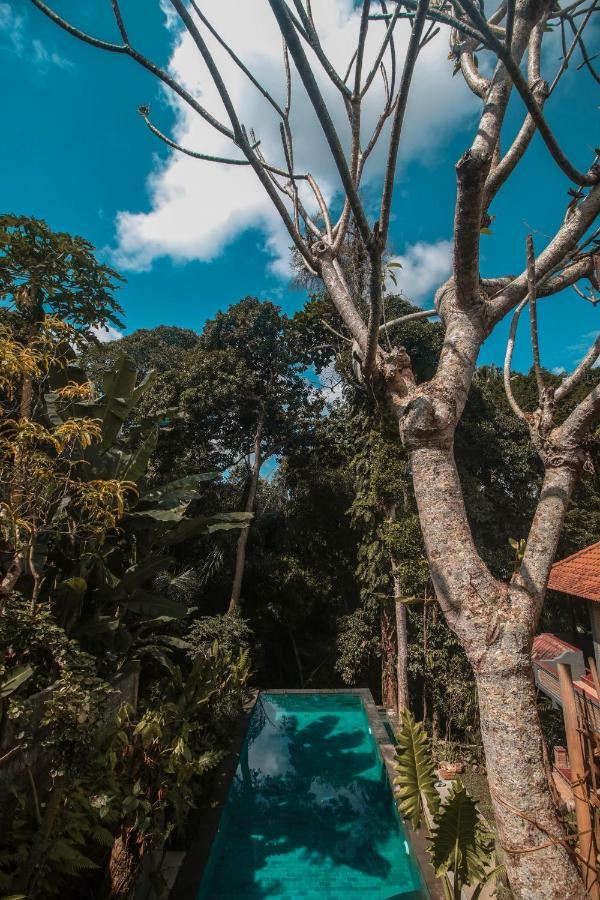 Aji Lodge Bungalow Ubud  Exterior photo